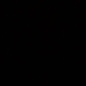 Meet your Posher, Dustin